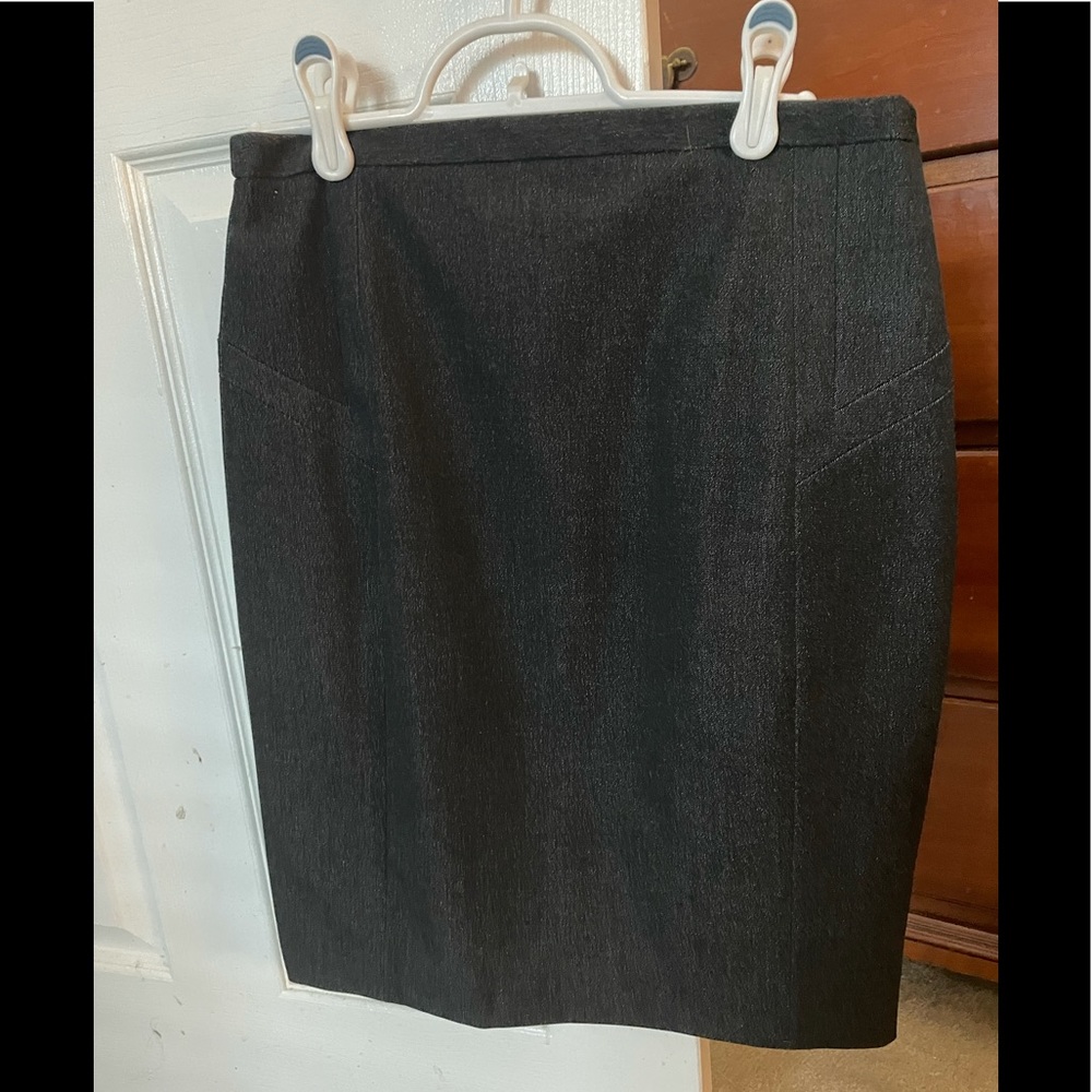 Express Pencil Skirt